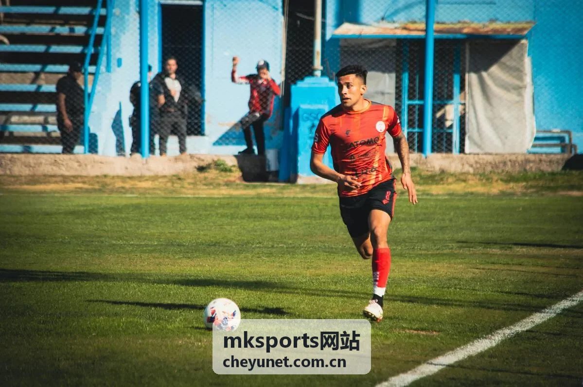 mksports网站 体育公园多场馆运营案例